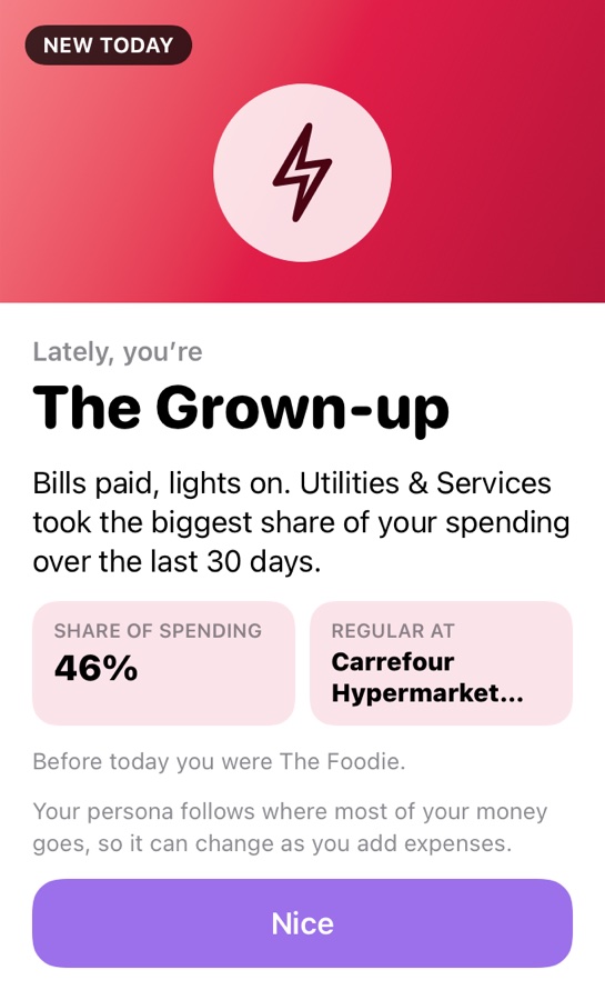 Persona card: The Grown-up